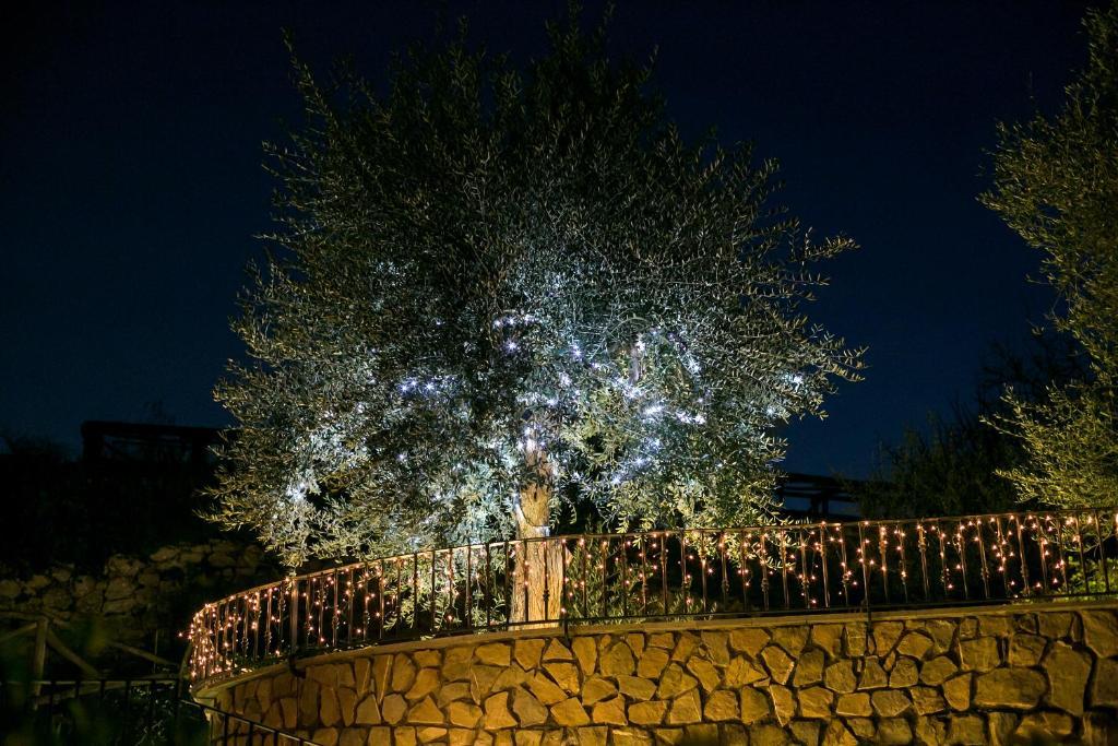 Villa Denise Vico Equense Exterior photo